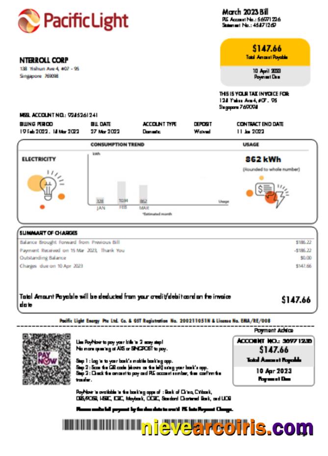 Pacific Light electricity utility business bill